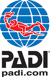 padi open water diving course