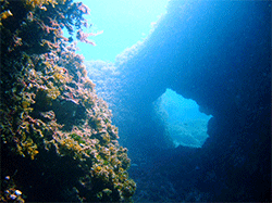 malta boat diving